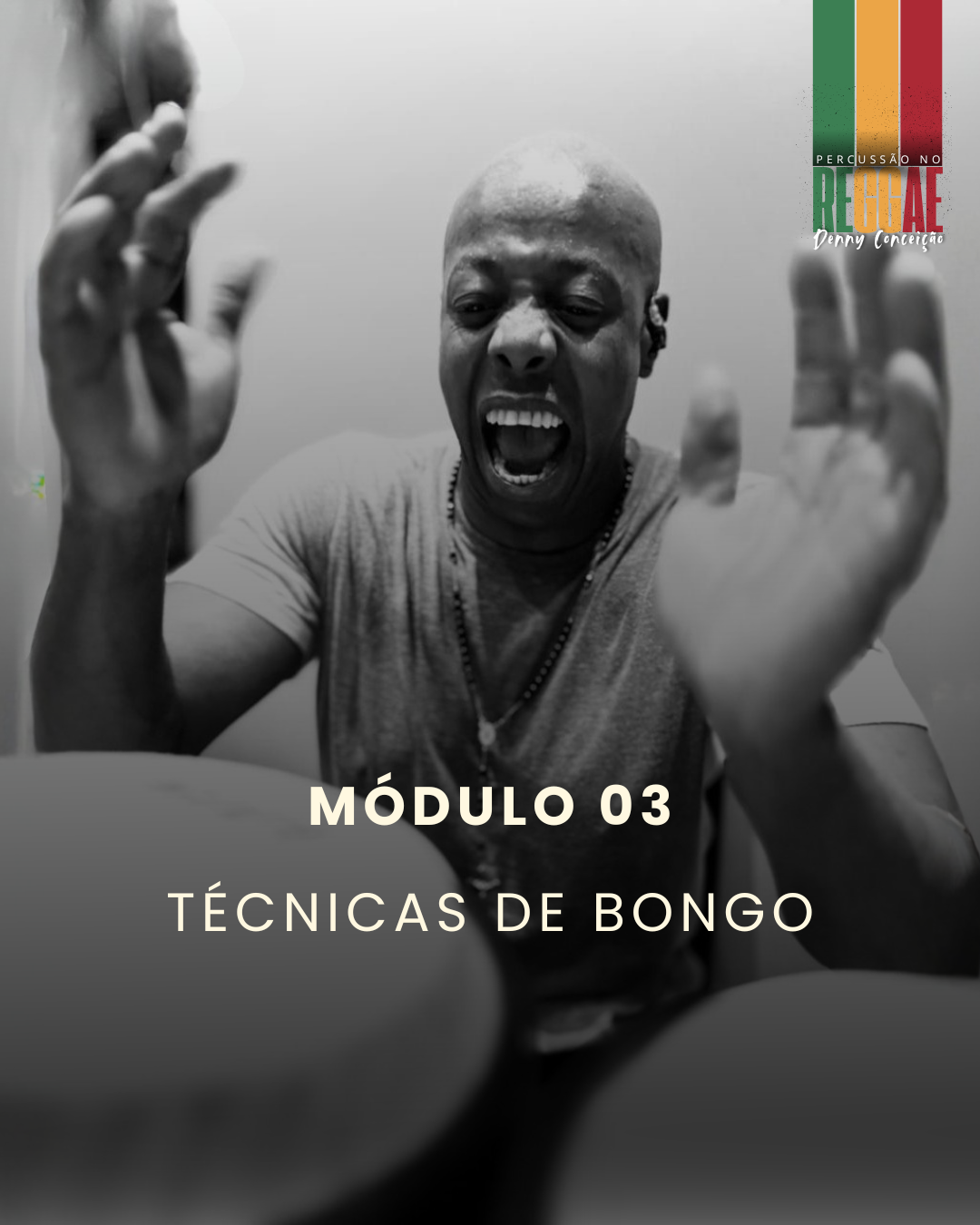 Modulo 03