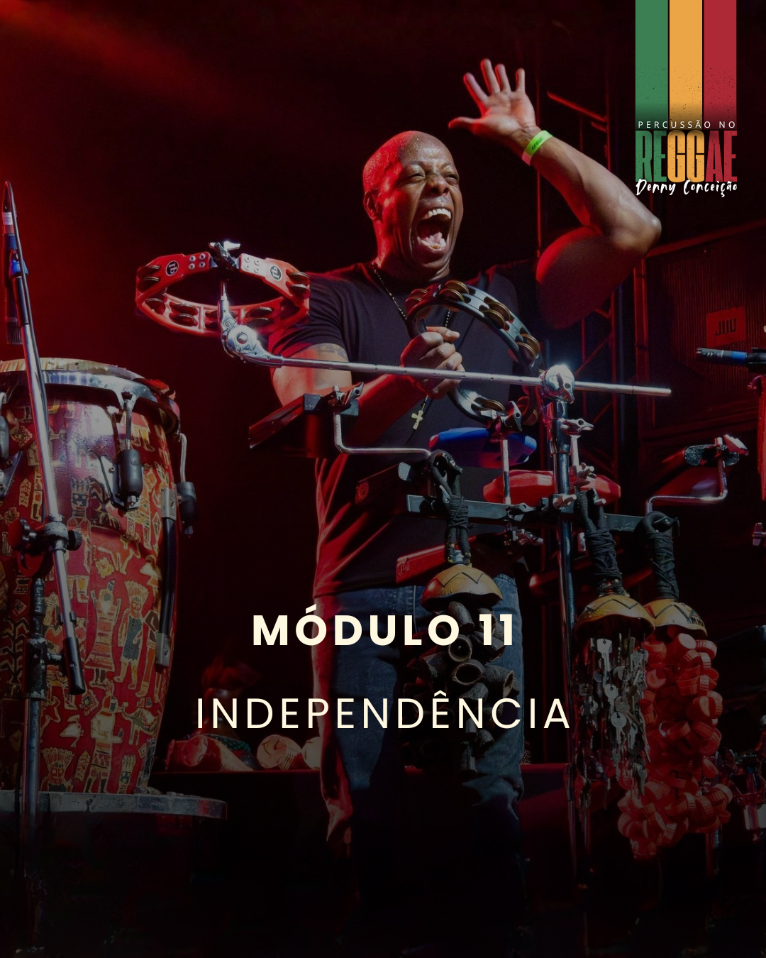 Modulo 11